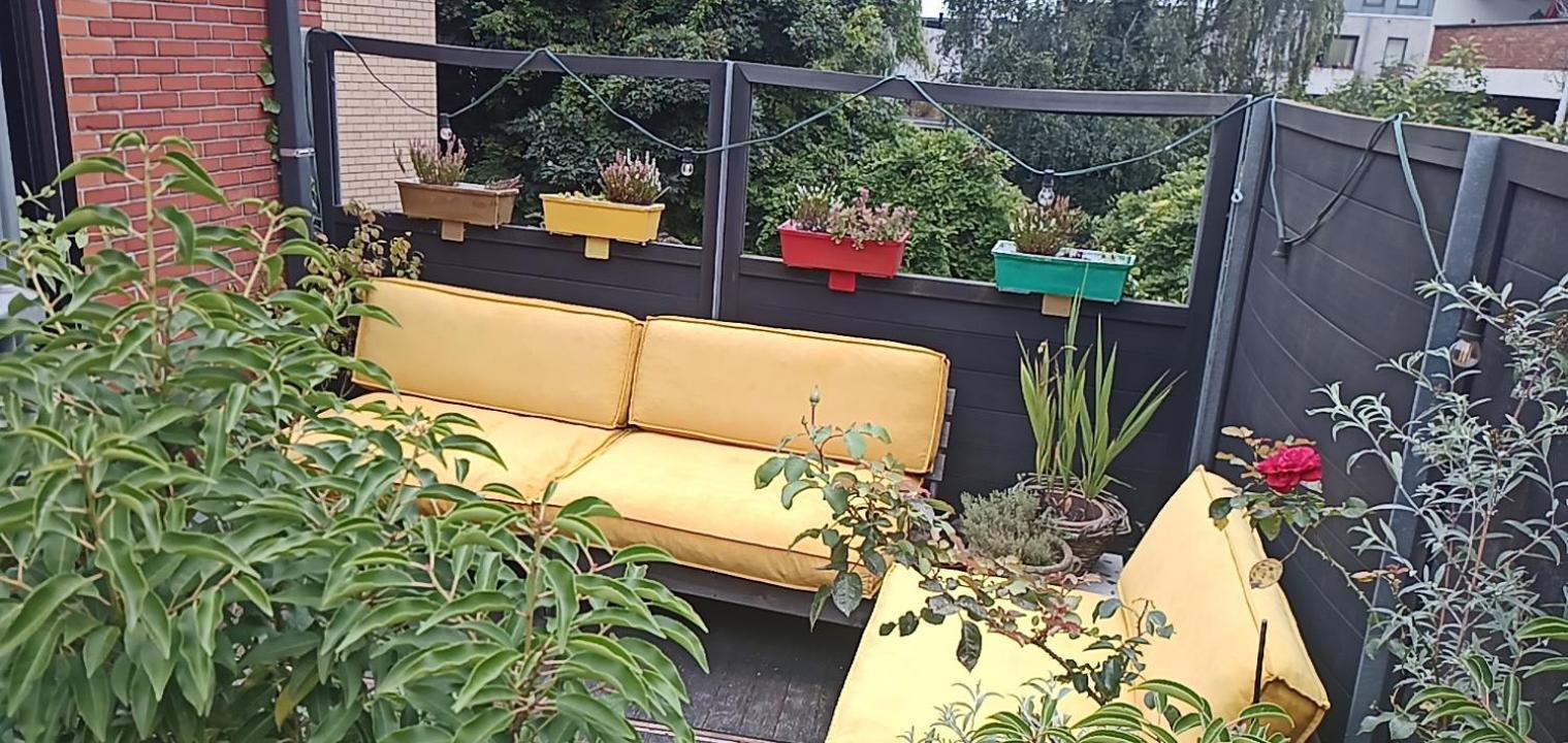 Lodgerivierenhof 안트베르펜 외부 사진