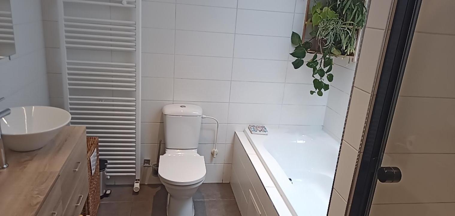 Lodgerivierenhof 안트베르펜 외부 사진